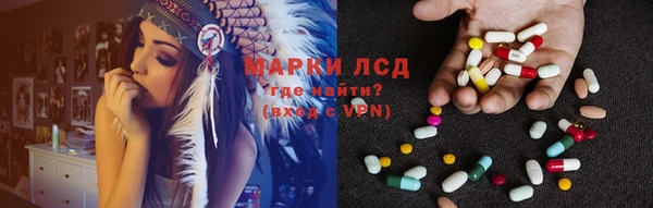 винт Лагань