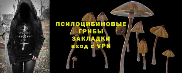 круглые Ладушкин