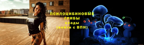 винт Лагань