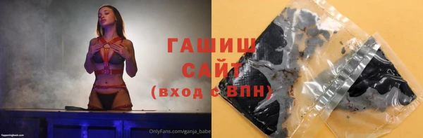 стафф Бердск