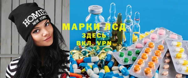 винт Лагань