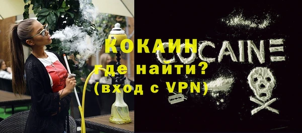 винт Лагань