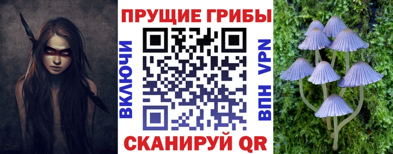даркнет наркотические препараты Печоры Галлюциногенные грибы мухоморы где купить
